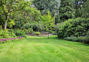 Optimiser l'expérience du jardin à Crouy-sur-Ourcq