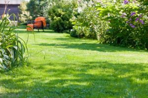 travaux jardin et paysage Crouy-sur-Ourcq